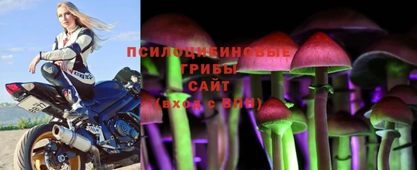 PSILOCYBIN Карпинск