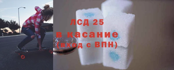 PSILOCYBIN Карпинск