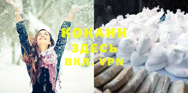 PSILOCYBIN Карпинск