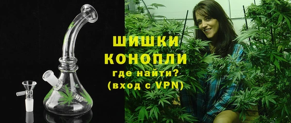 PSILOCYBIN Карпинск