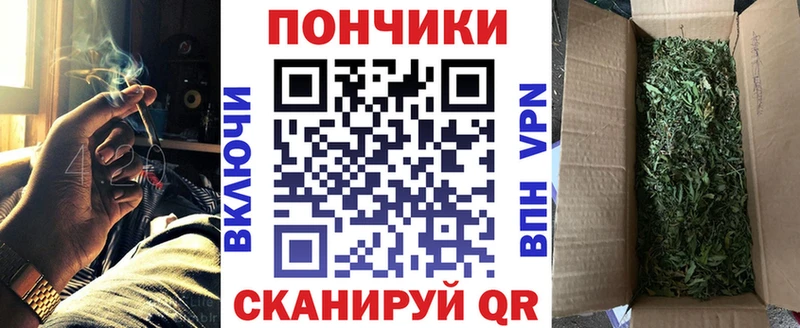 Купить Губкин Марихуана сатива